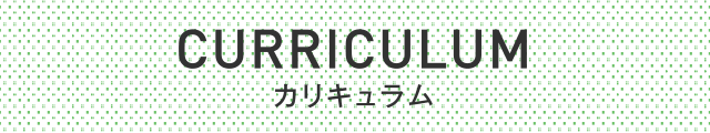 主な科目