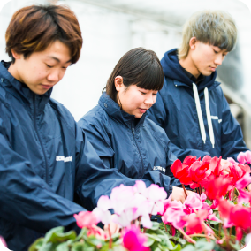 花や植物を育てたり売ったりしたい!!