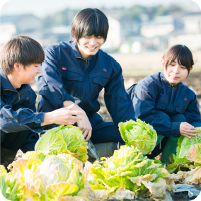野菜を育てたり、売ったりしたい!!