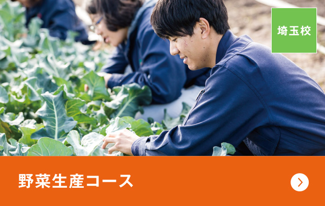 野菜生産コース(埼玉校)