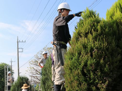 剪定実習場③