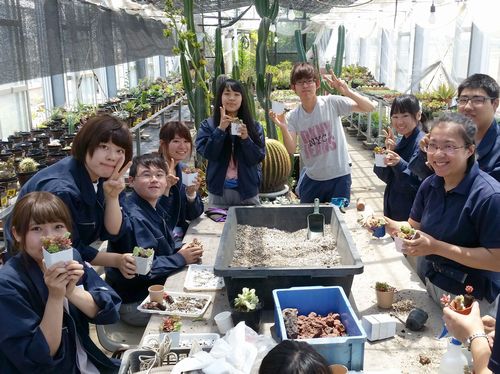 多肉植物の作品制作