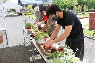 IMG_6569 (2)