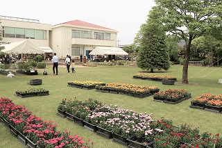 IMG_6675