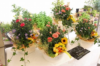 IMG_6736
